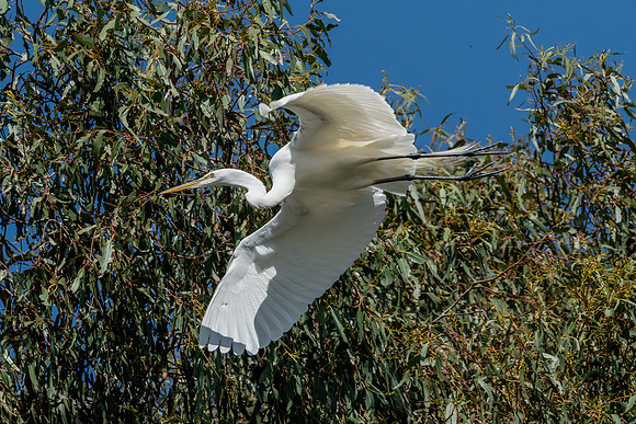 _DSC4565-Edit
