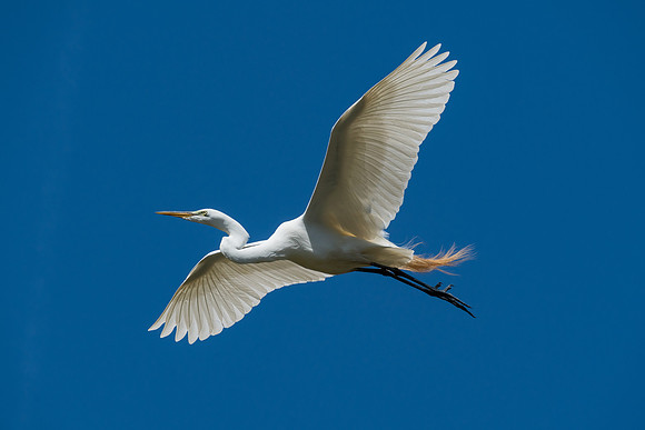 _DSC4550-Edit