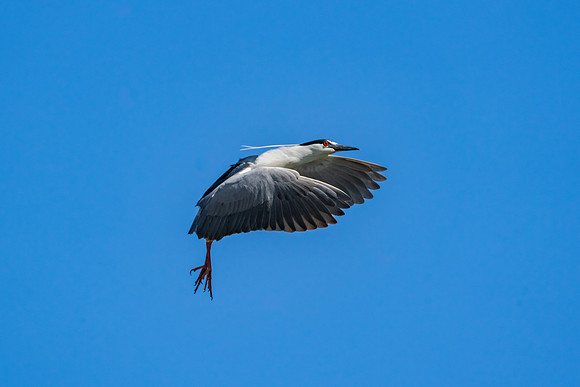 _DSC4650-Edit