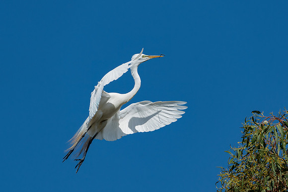 _DSC4599-Edit