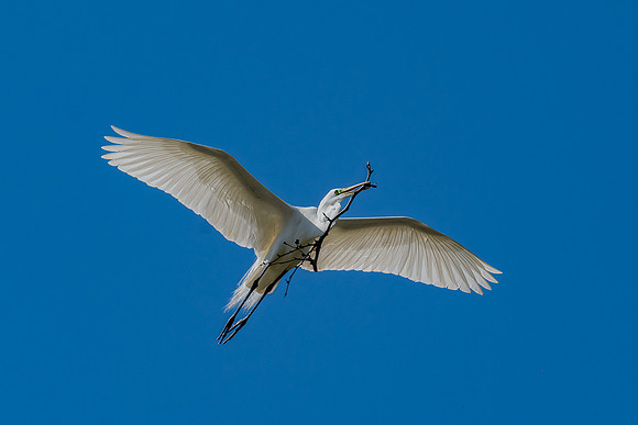 _DSC1860-Edit