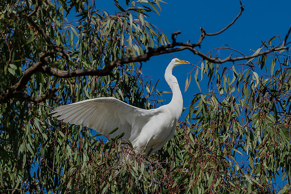 _DSC1836-Edit