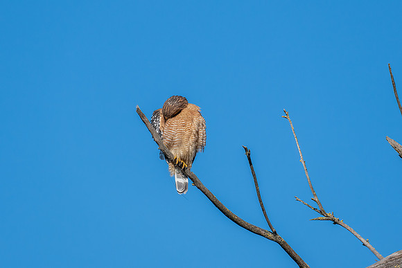 _DSC3734-Edit