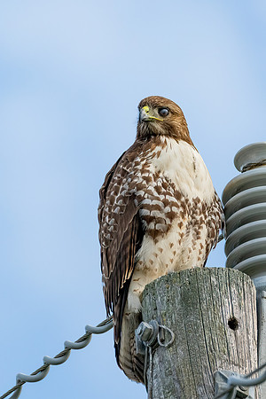 _DSC4306-Edit
