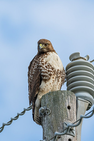 _DSC4304-Edit