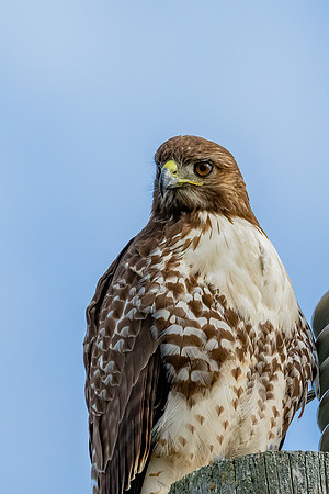 _DSC4307-Edit