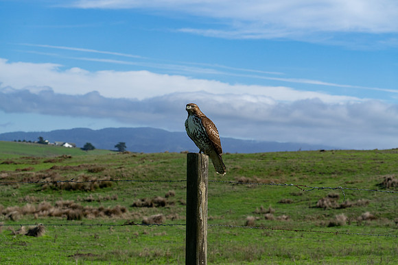 _DSC1258-Edit