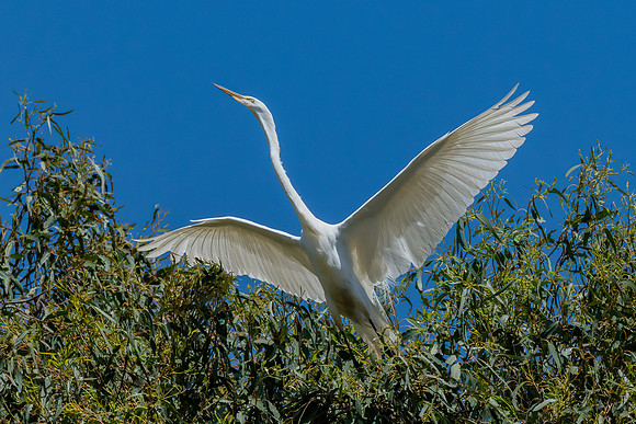 _DSC7605-Edit