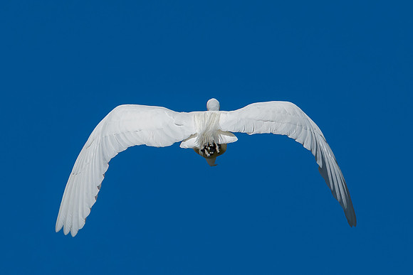 _DSC1848-Edit