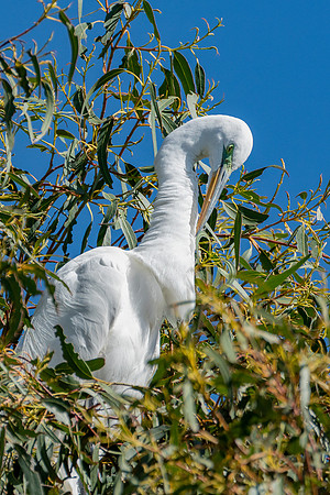 _DSC1841-Edit