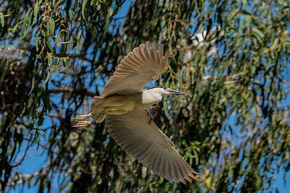 _DSC4868-Edit