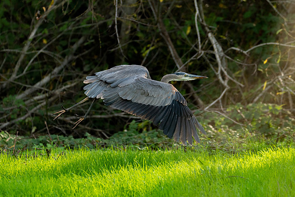 _DSC1812-Edit