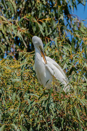 _DSC4638-Edit