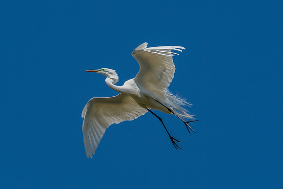 _DSC4882-Edit