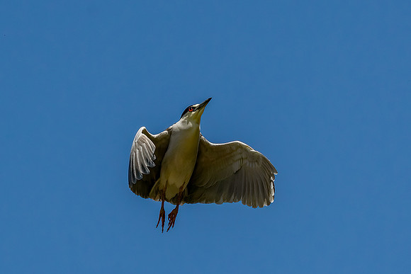 _DSC4777-Edit