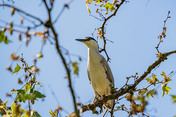 _DSC4992-Edit