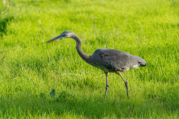 _DSC1904-Edit