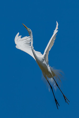 _DSC1924-Edit