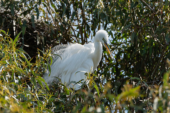 _DSC4530-Edit