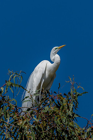 _DSC1907-Edit