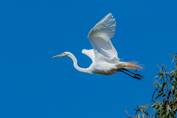 _DSC5009-Edit