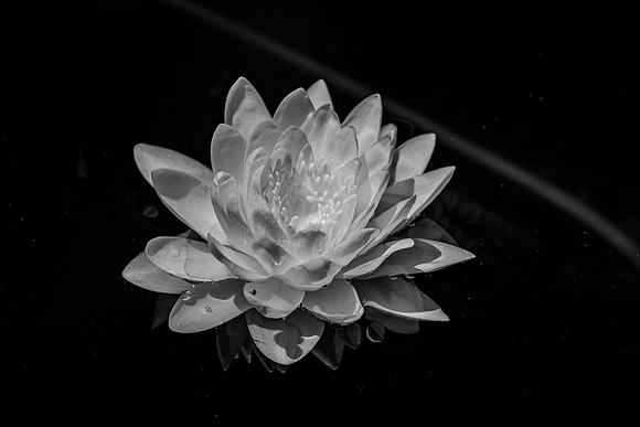 _DSC9904-2