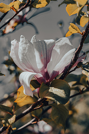 _DSC2022-Edit-2