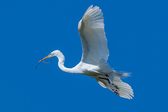 _DSC4877-Edit