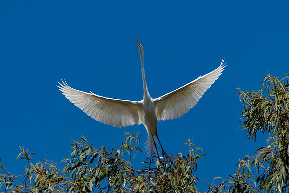 _DSC1921-Edit-2