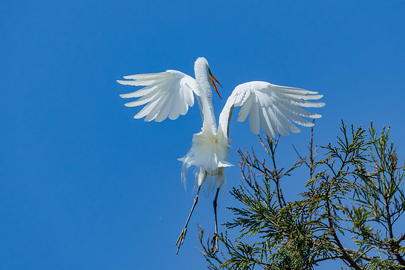 _DSC5001-Edit