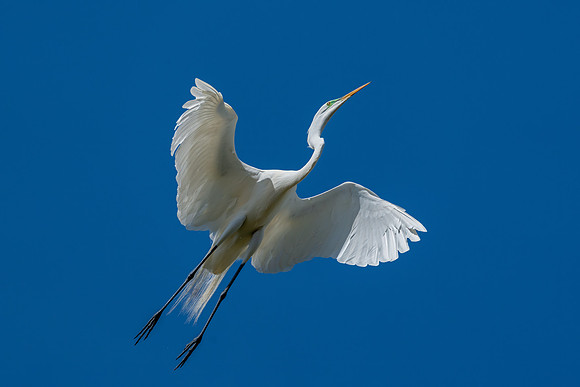 _DSC4864-Edit