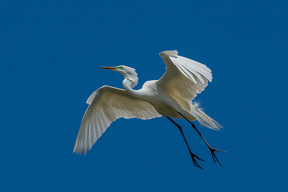 _DSC4880-Edit