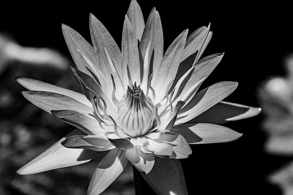 _DSC9909-2