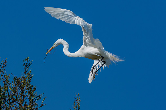 _DSC4878-Edit