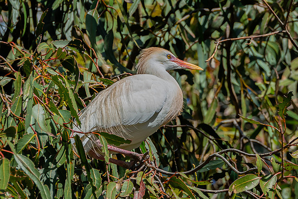 _DSC1769-Edit