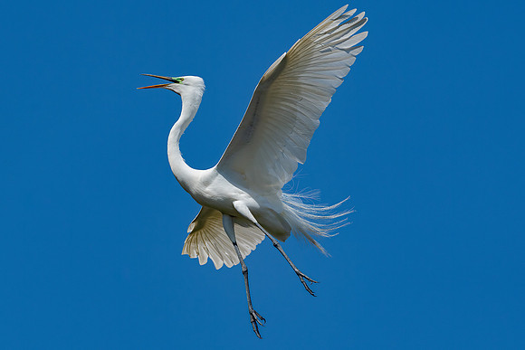 _DSC4923-Edit