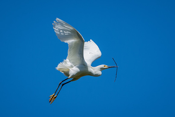 _DSC7542-Edit