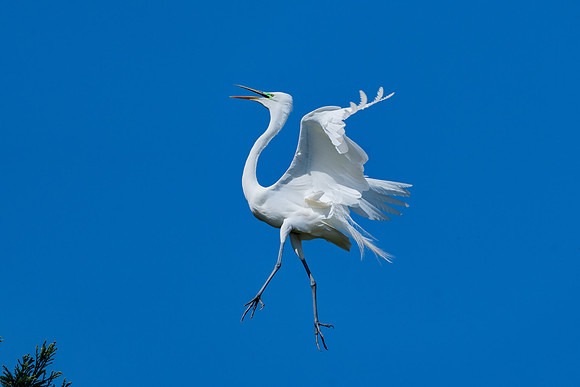 _DSC4926-Edit