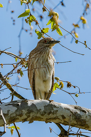 _DSC1882-Edit