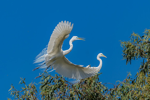 _DSC1933-Edit