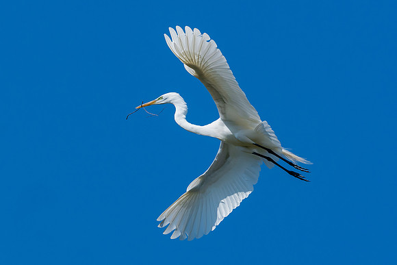 _DSC4876-Edit