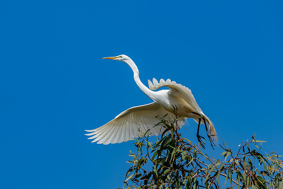 _DSC5007-Edit