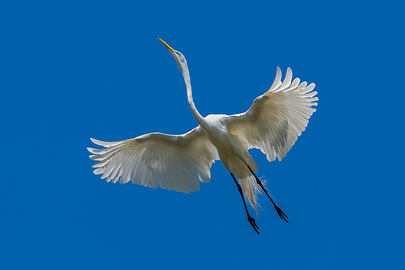_DSC1925-Edit