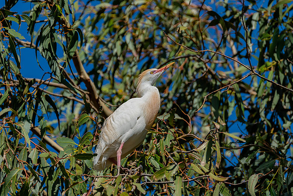 _DSC1779-Edit