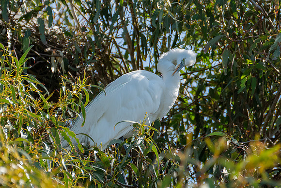 _DSC4527-Edit