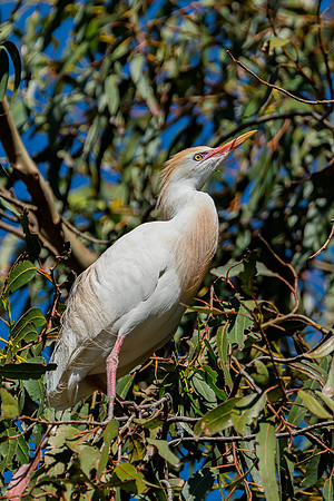 _DSC1780-Edit