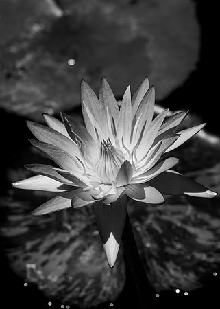 _DSC9900