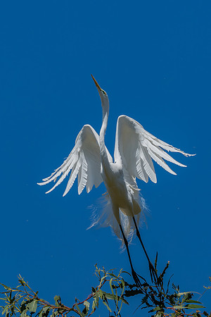 _DSC1922-Edit