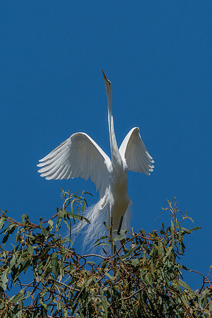_DSC1920-Edit