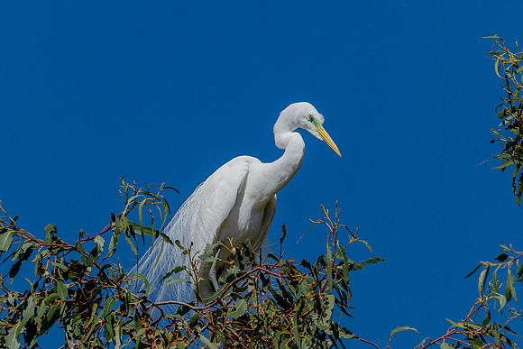 _DSC1908-Edit